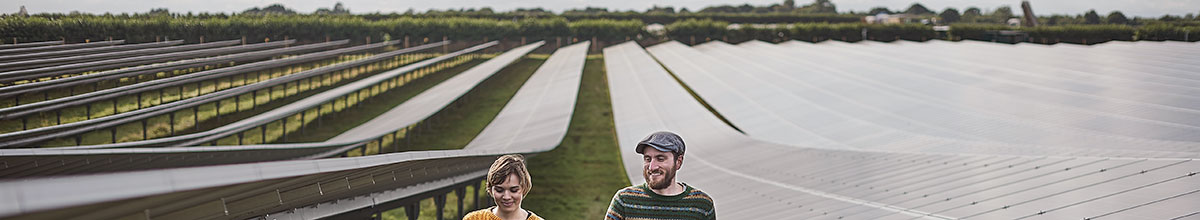 Two people walking in a field of solar panels
